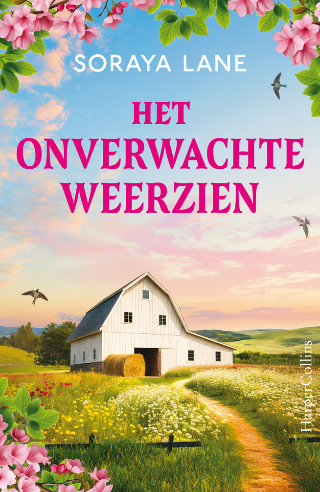 Het onverwachte weerzien