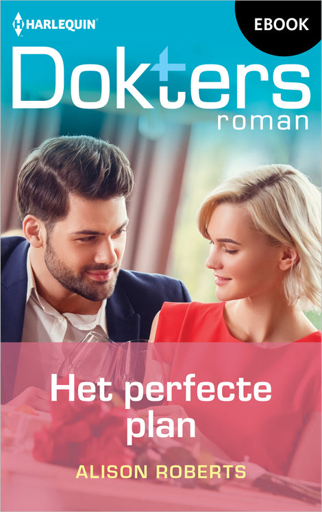 Het perfecte plan Het perfecte plan
