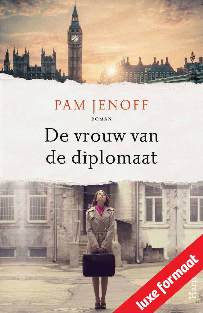 De vrouw van de diplomaat