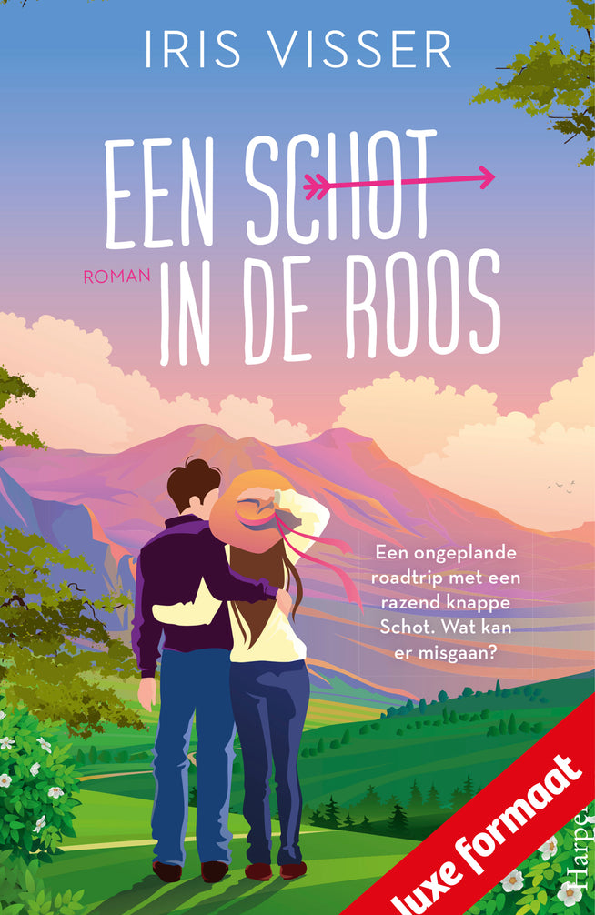 Een schot in de roos