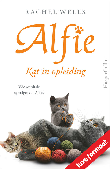 Alfie - Kat in opleiding Alfie - Kat in opleiding