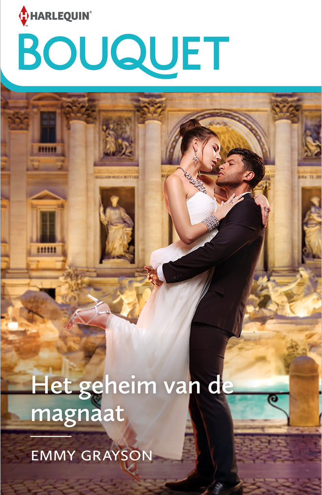 Het geheim van de magnaat