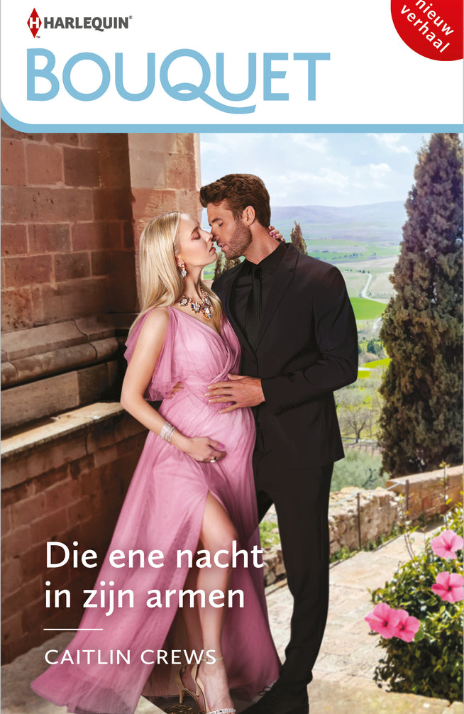 Die ene nacht in zijn armen