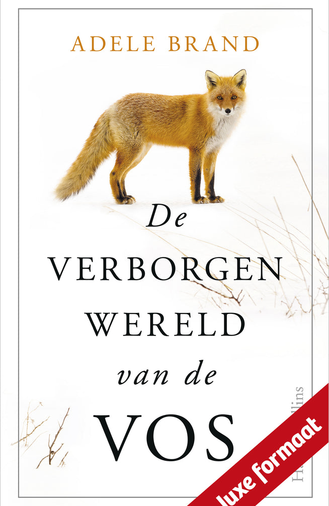 De verborgen wereld van de vos