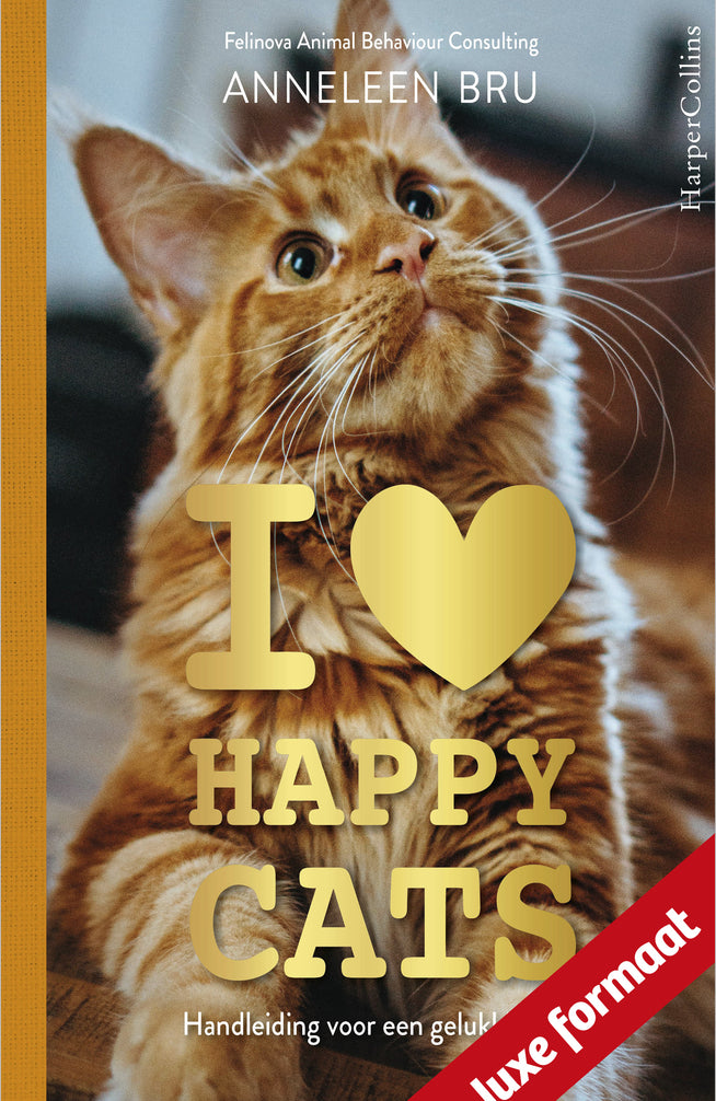 I Love Happy Cats