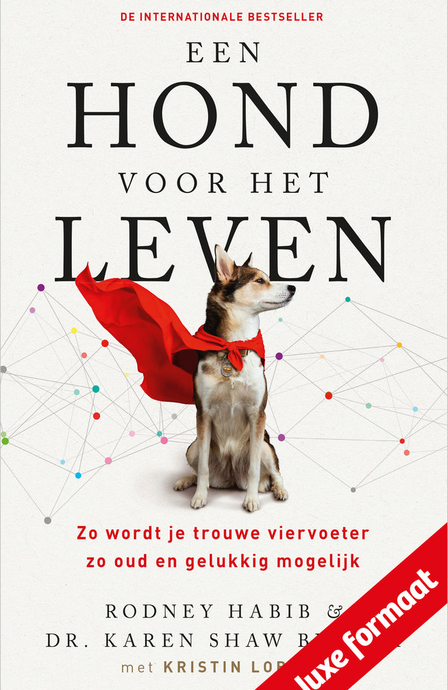 Een hond voor het leven