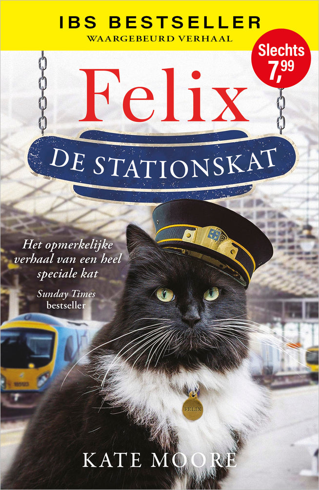 Felix, de stationskat