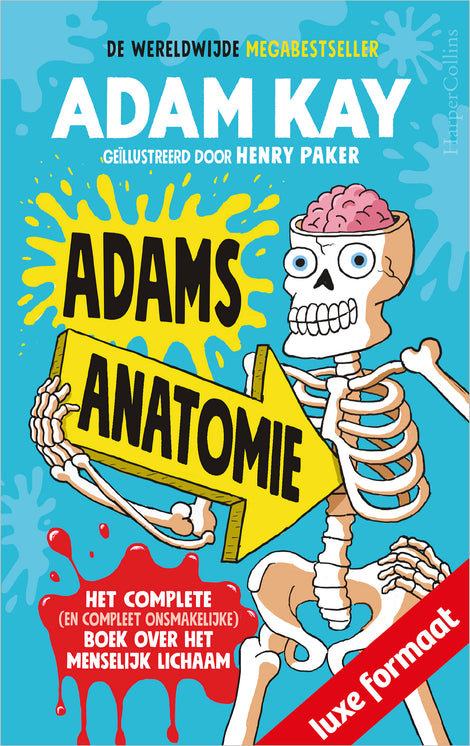 Adams anatomie Adams anatomie
