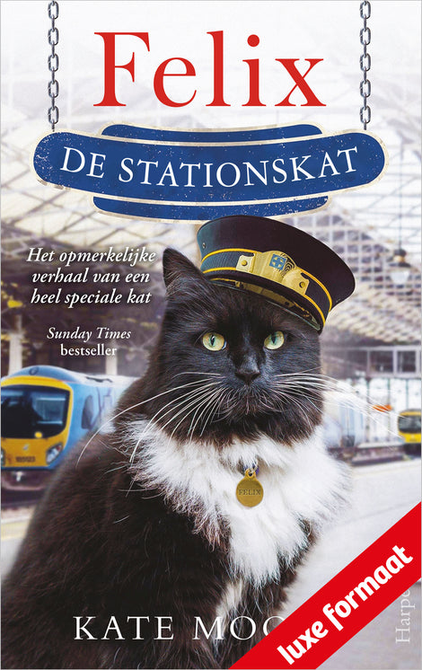 Felix de stationskat Felix de stationskat
