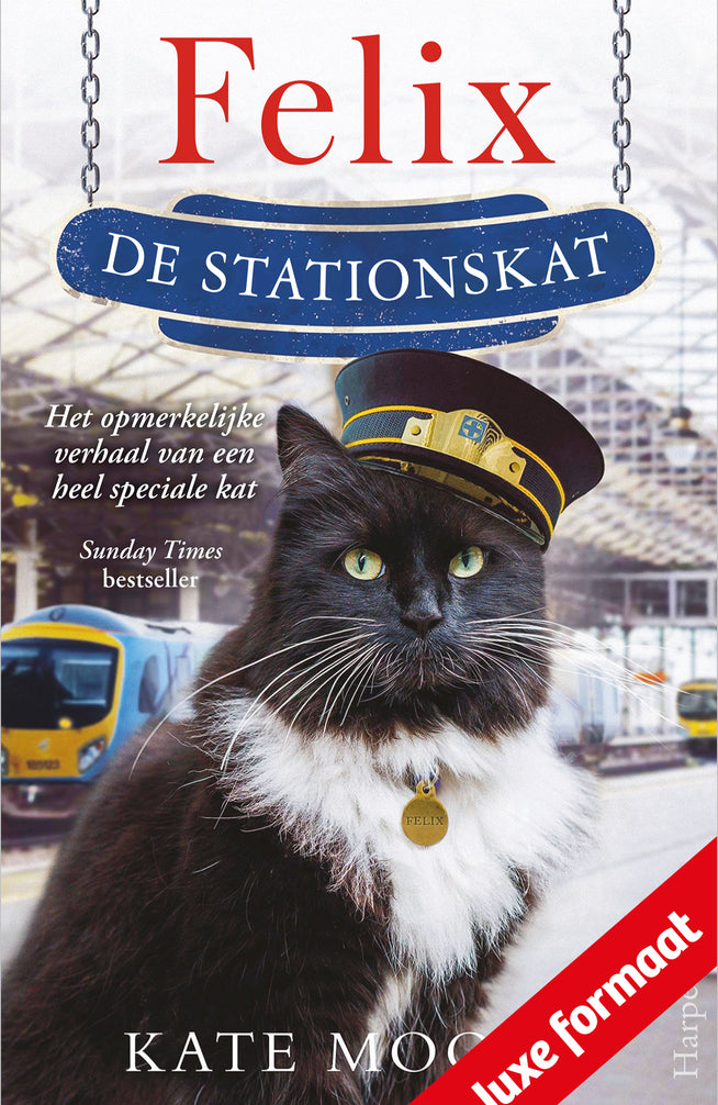 Felix de stationskat