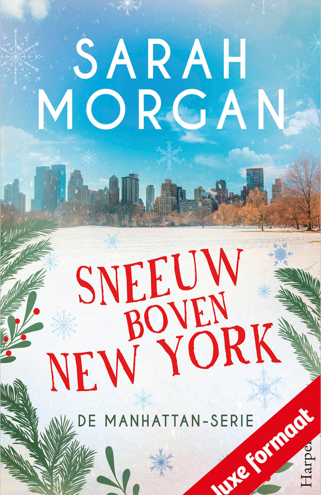 Sneeuw boven New York