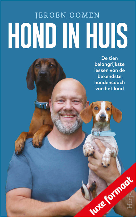 Hond in huis Hond in huis