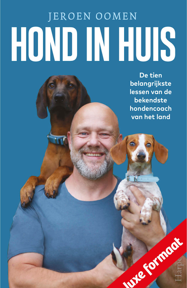 Hond in huis