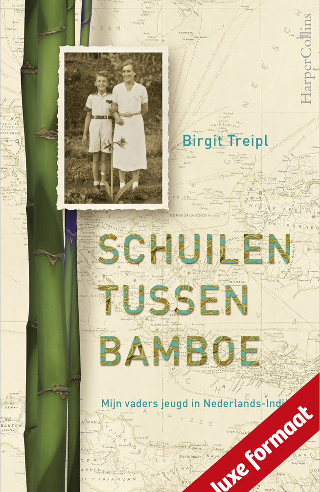 Schuilen tussen bamboe