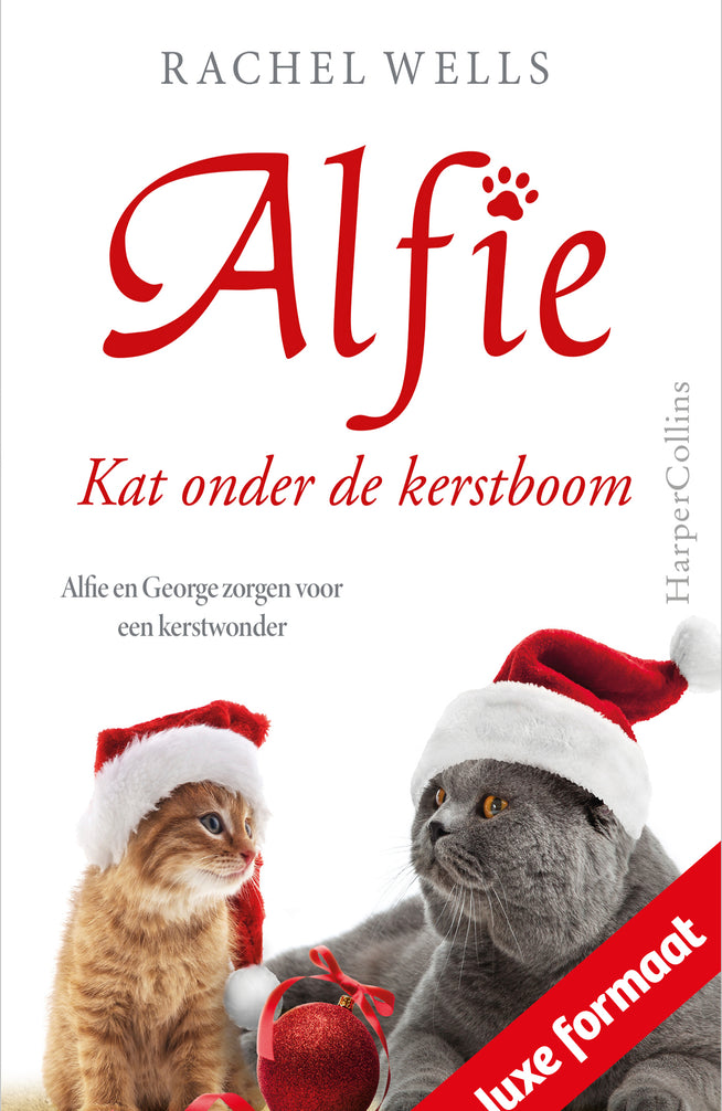 Kat onder de kerstboom