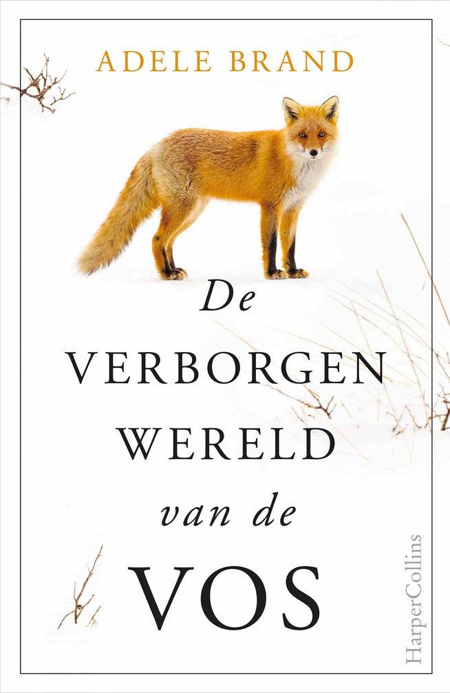 De verborgen wereld van de vos