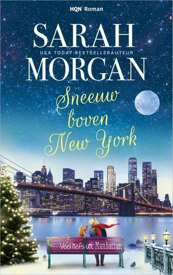 Sneeuw boven New York Sneeuw boven New York