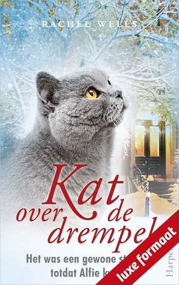 Kat over de drempel Kat over de drempel