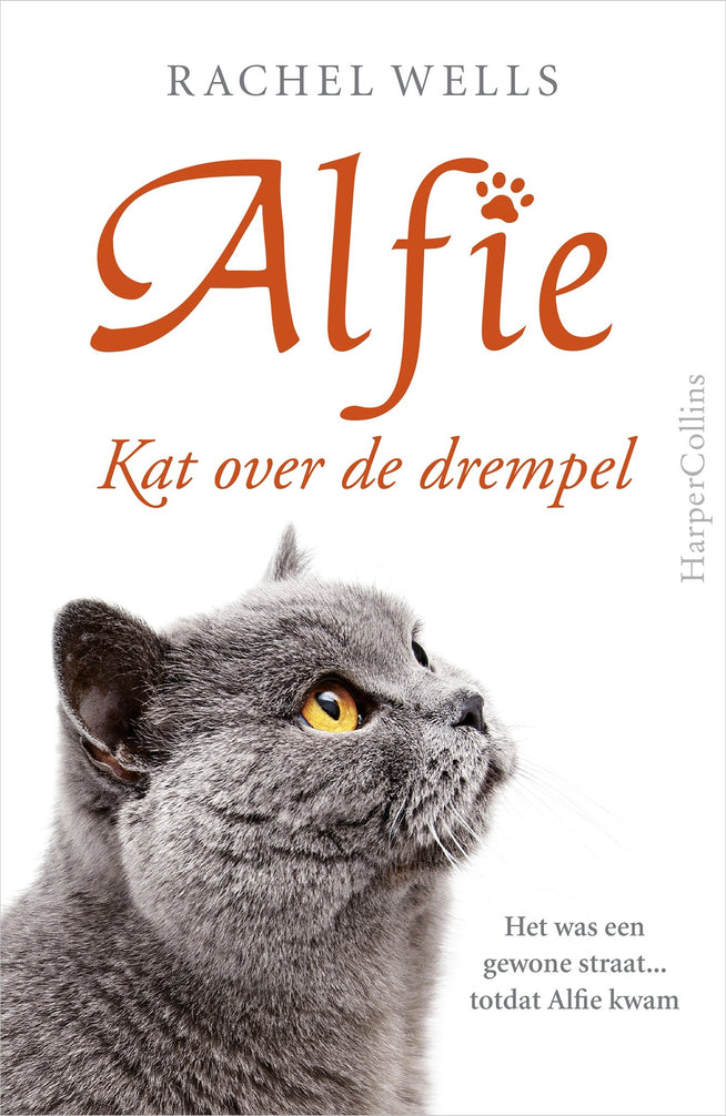 Kat over de drempel