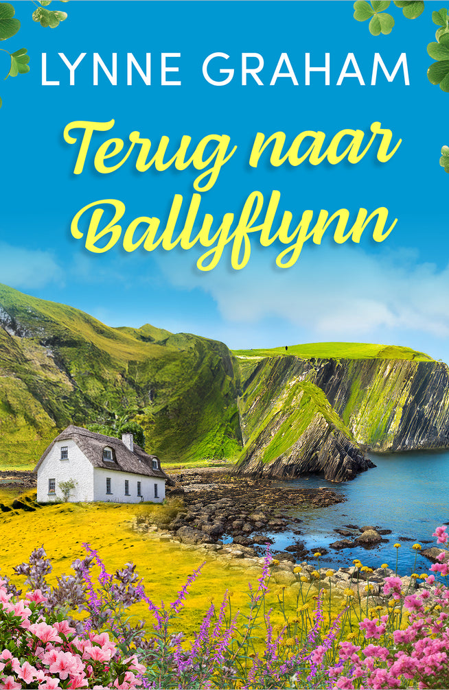 Terug naar Ballyflynn