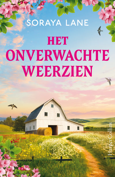 Het onverwachte weerzien