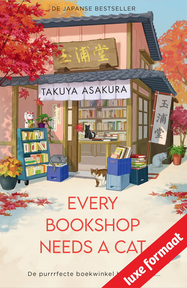 Every Bookshop Needs a Cat