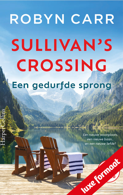 Een gedurfde sprong