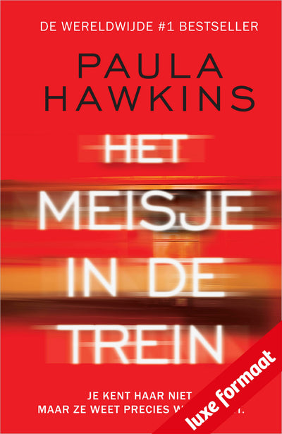 Het meisje in de trein