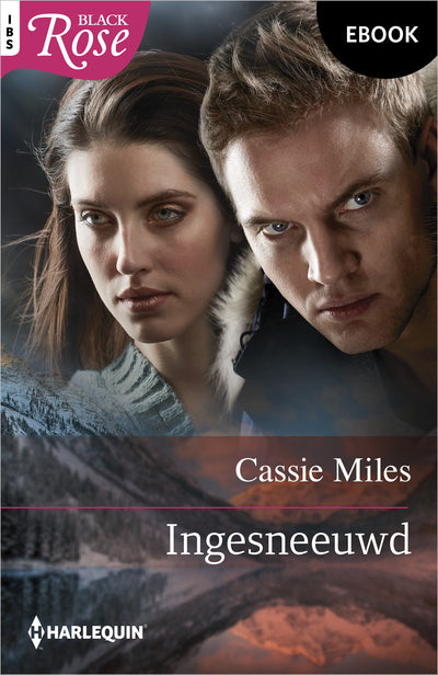 Ingesneeuwd