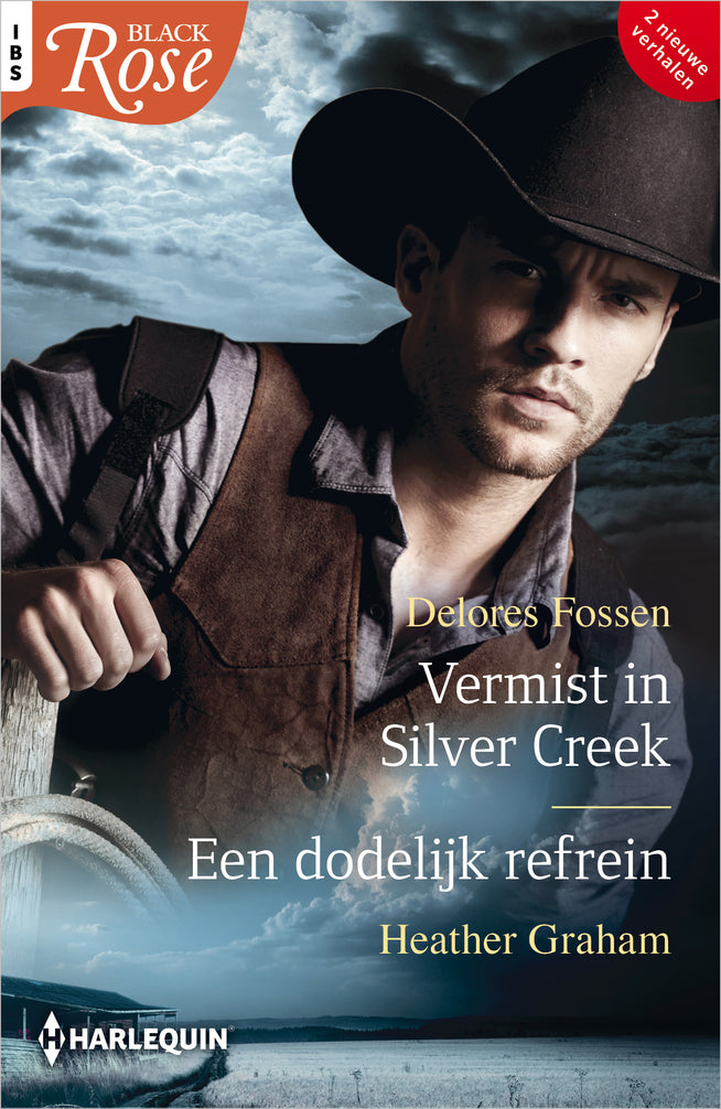 Vermist in Silver Creek / Een dodelijk refrein