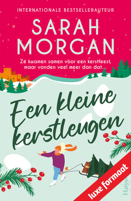 Een kleine kerstleugen