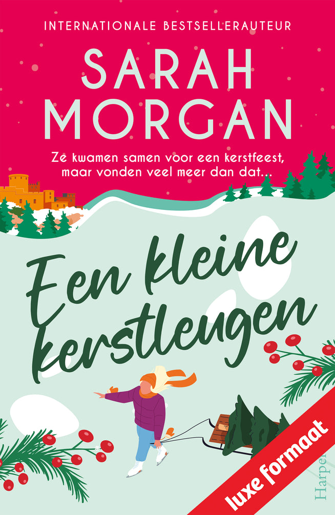 Een kleine kerstleugen