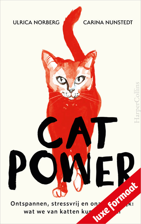 Cat Power