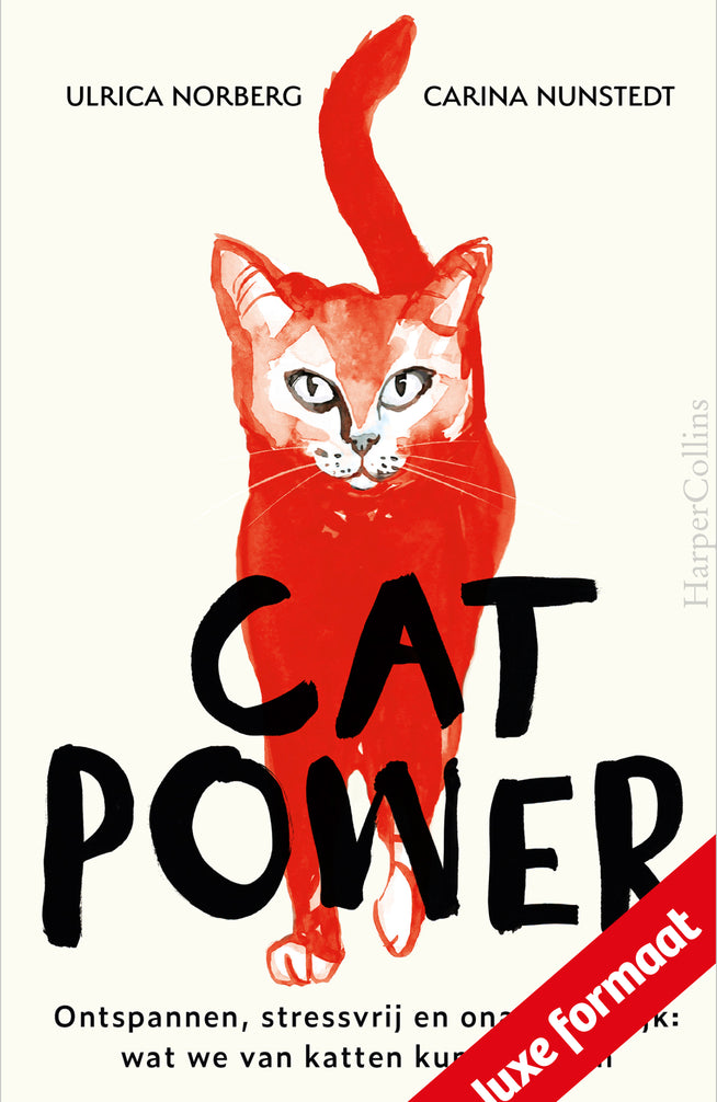 Cat Power