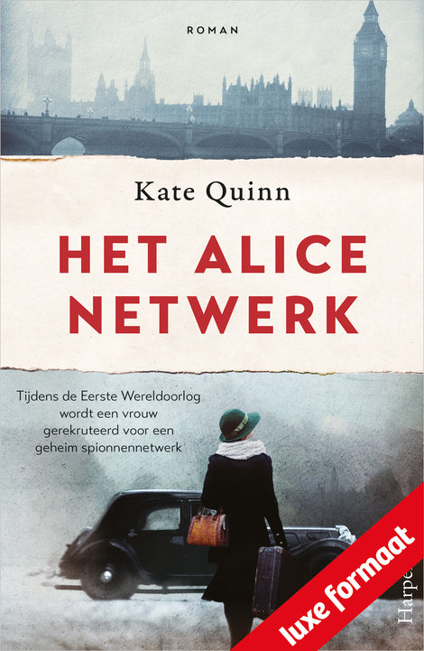 Het Alice-netwerk