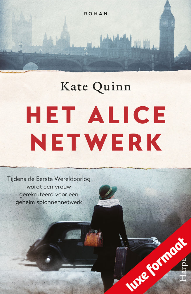 Het Alice-netwerk