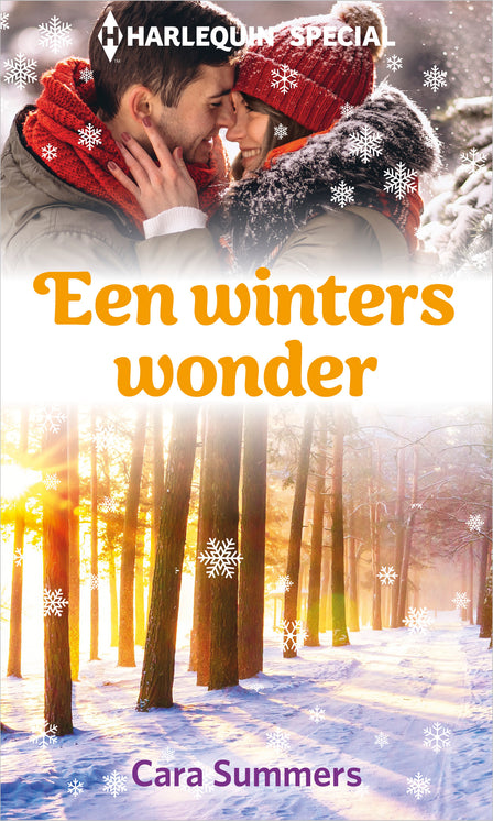 Een winters wonder