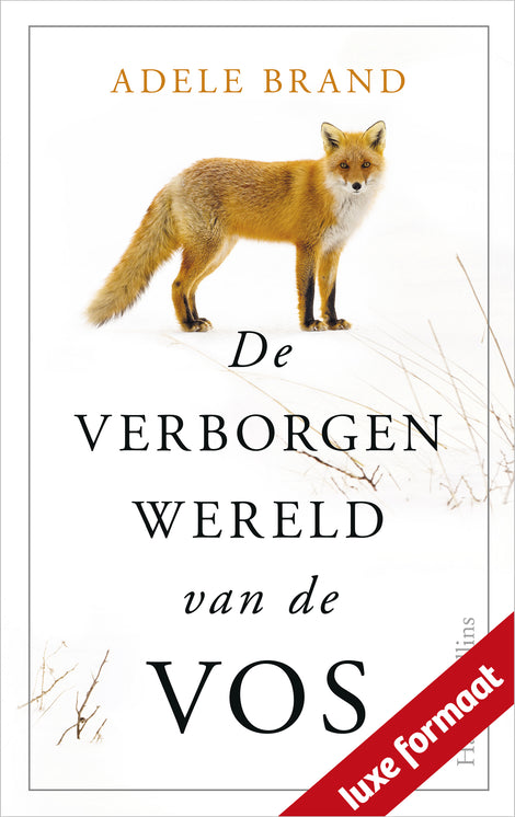 De verborgen wereld van de vos