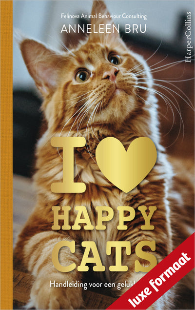 I Love Happy Cats