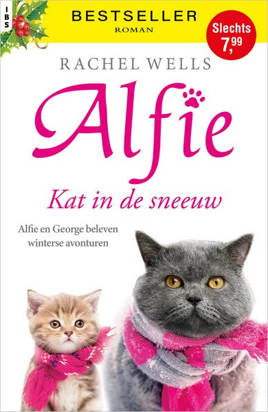 Kat in de sneeuw