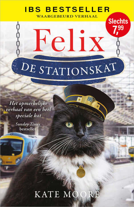 Felix, de stationskat