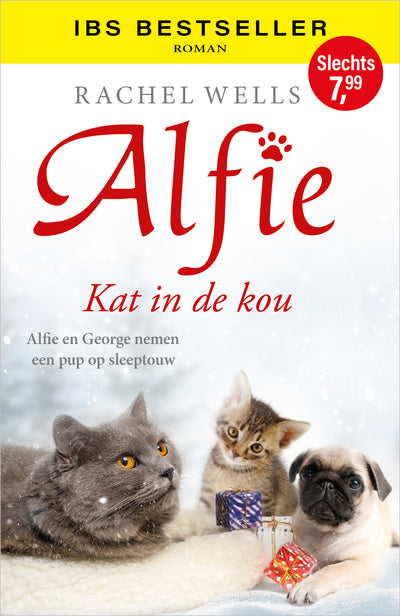 Alfie, kat in de kou