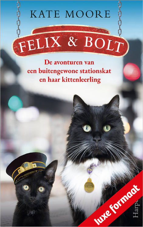 Felix & Bolt