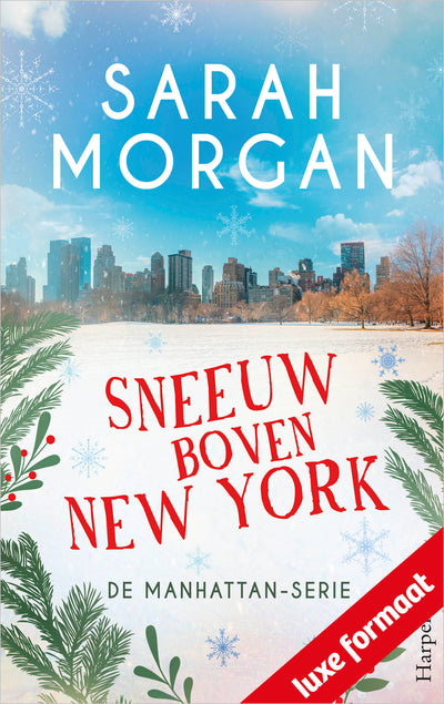 Sneeuw boven New York