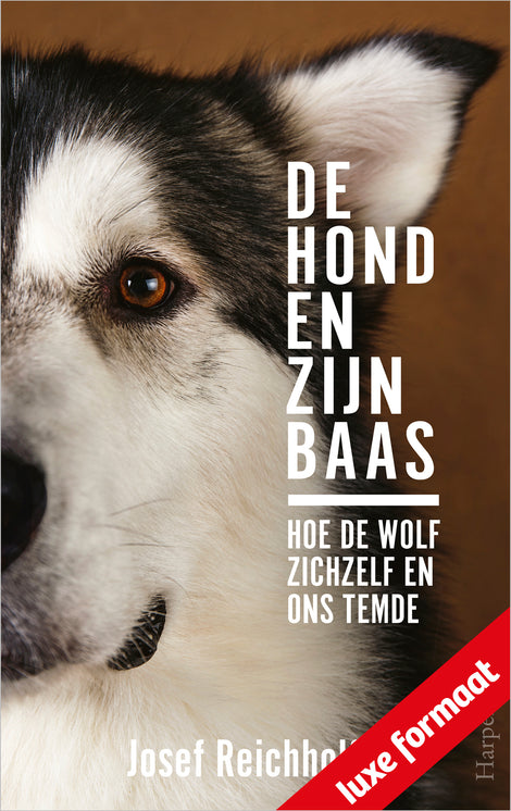 De hond en zijn baas