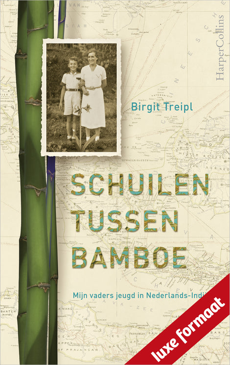 Schuilen tussen bamboe