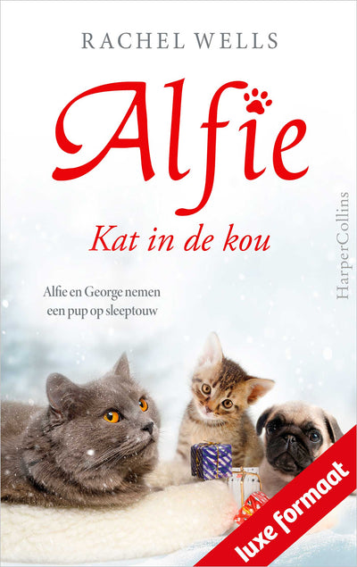 Kat in de kou