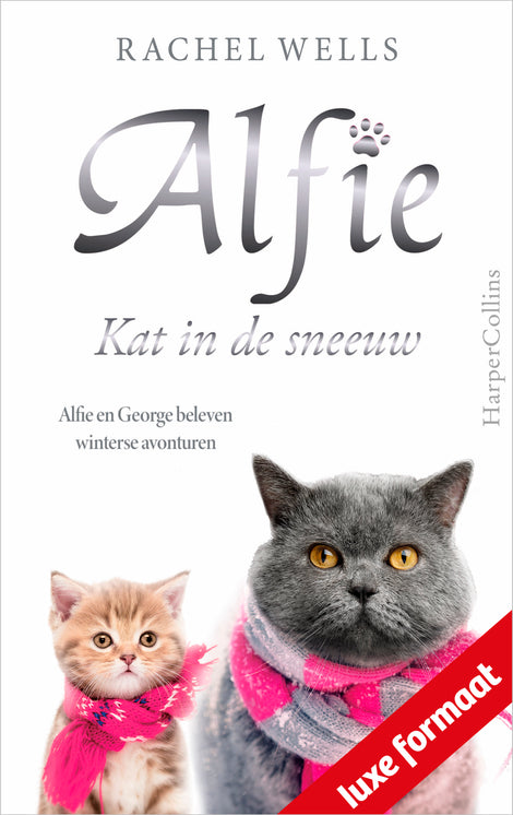 Alfie, kat in de sneeuw
