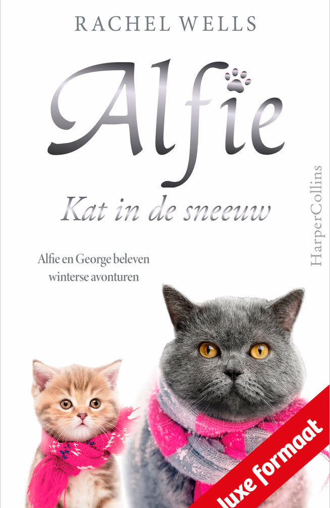 Alfie, kat in de sneeuw