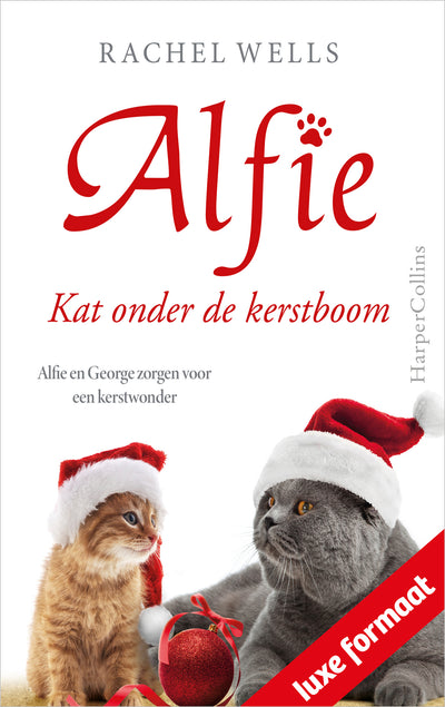 Kat onder de kerstboom